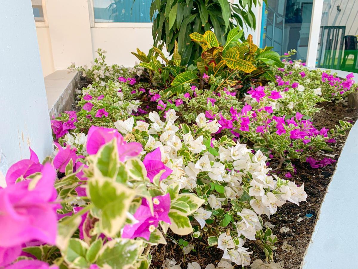 Hotel Abi Inn By Geh Suites Cartagène Extérieur photo